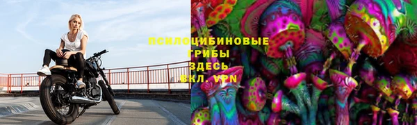 винт Алексин