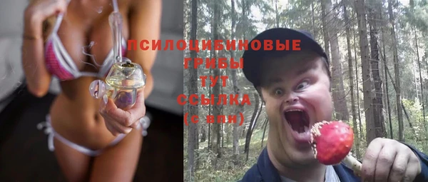 гидра Алексеевка