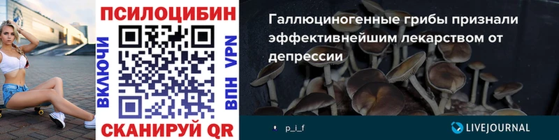 Псилоцибиновые грибы мицелий Завитинск