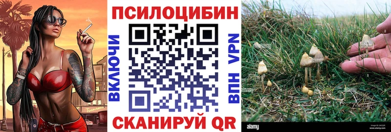 что такое наркотик  Завитинск  Галлюциногенные грибы GOLDEN TEACHER 
